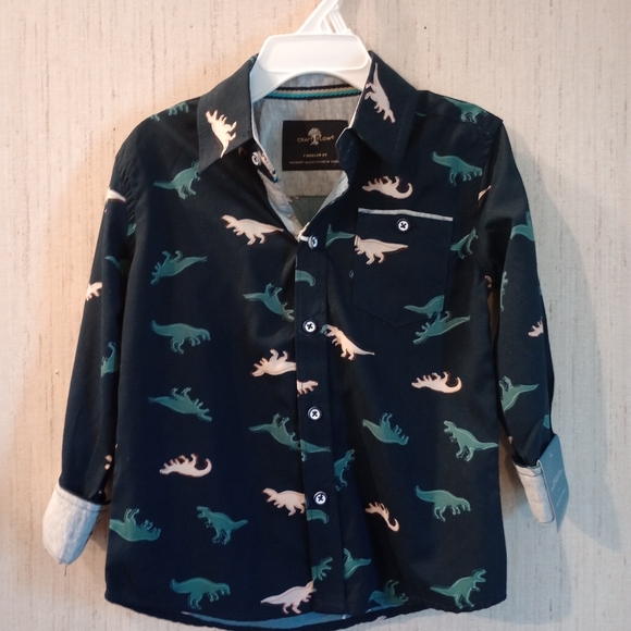 Craft Flow Little Boys Dinosaurs 🦖 Button Down Shirt - Picture 1 of 4